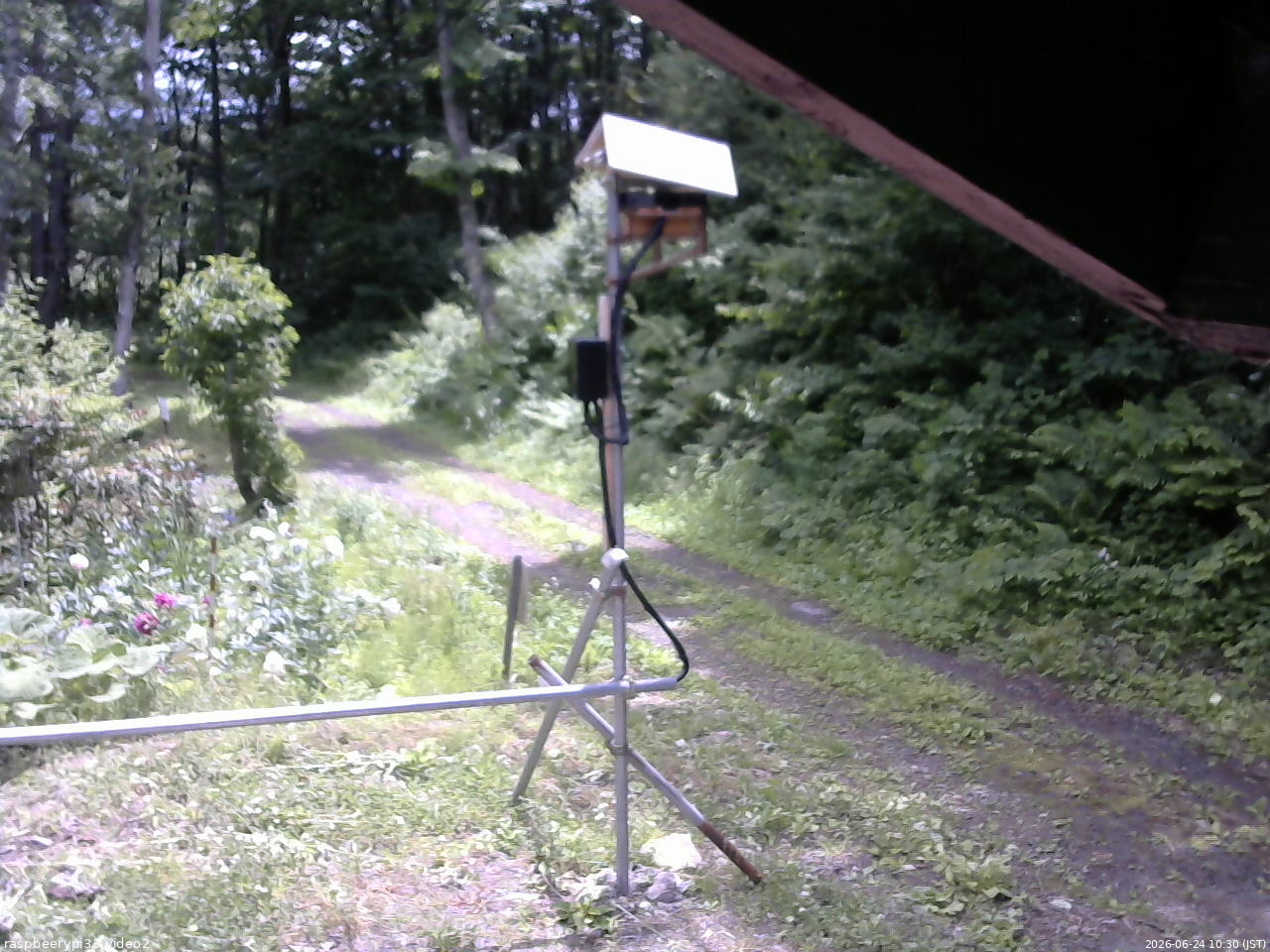 長野県菅平高原 ゆたか山荘 南側 2026/06/24 10:30