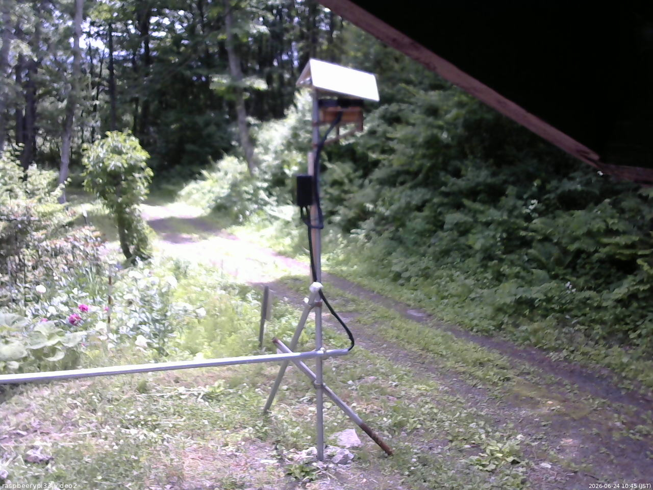 長野県菅平高原 ゆたか山荘 南側 2026/06/24 10:45