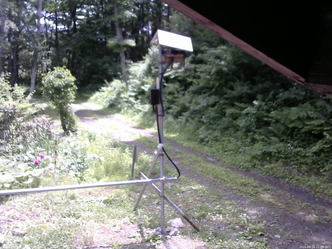 長野県菅平高原 ゆたか山荘 南側 2026/06/24 11:00