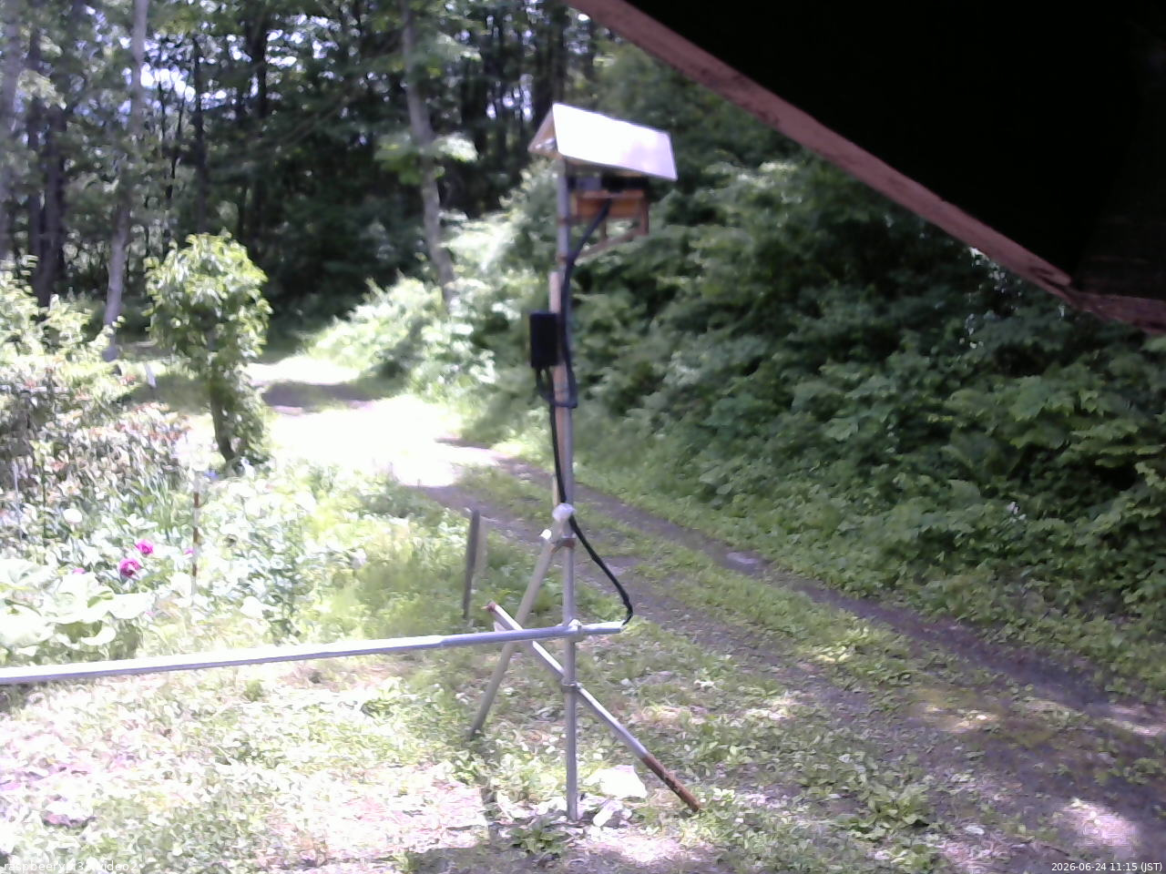 長野県菅平高原 ゆたか山荘 南側 2026/06/24 11:15
