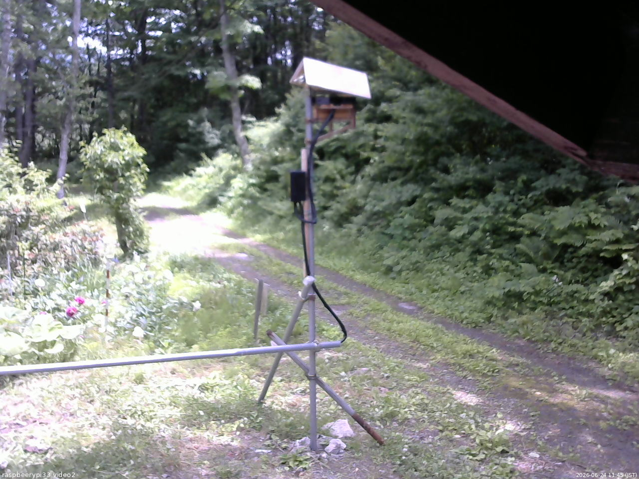 長野県菅平高原 ゆたか山荘 南側 2026/06/24 11:45