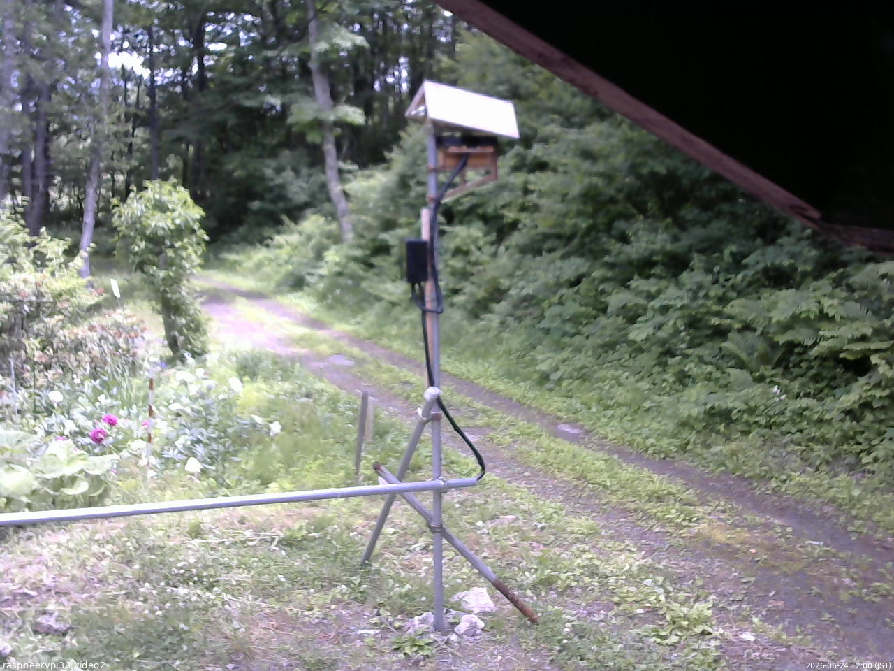 長野県菅平高原 ゆたか山荘 南側 2026/06/24 12:00