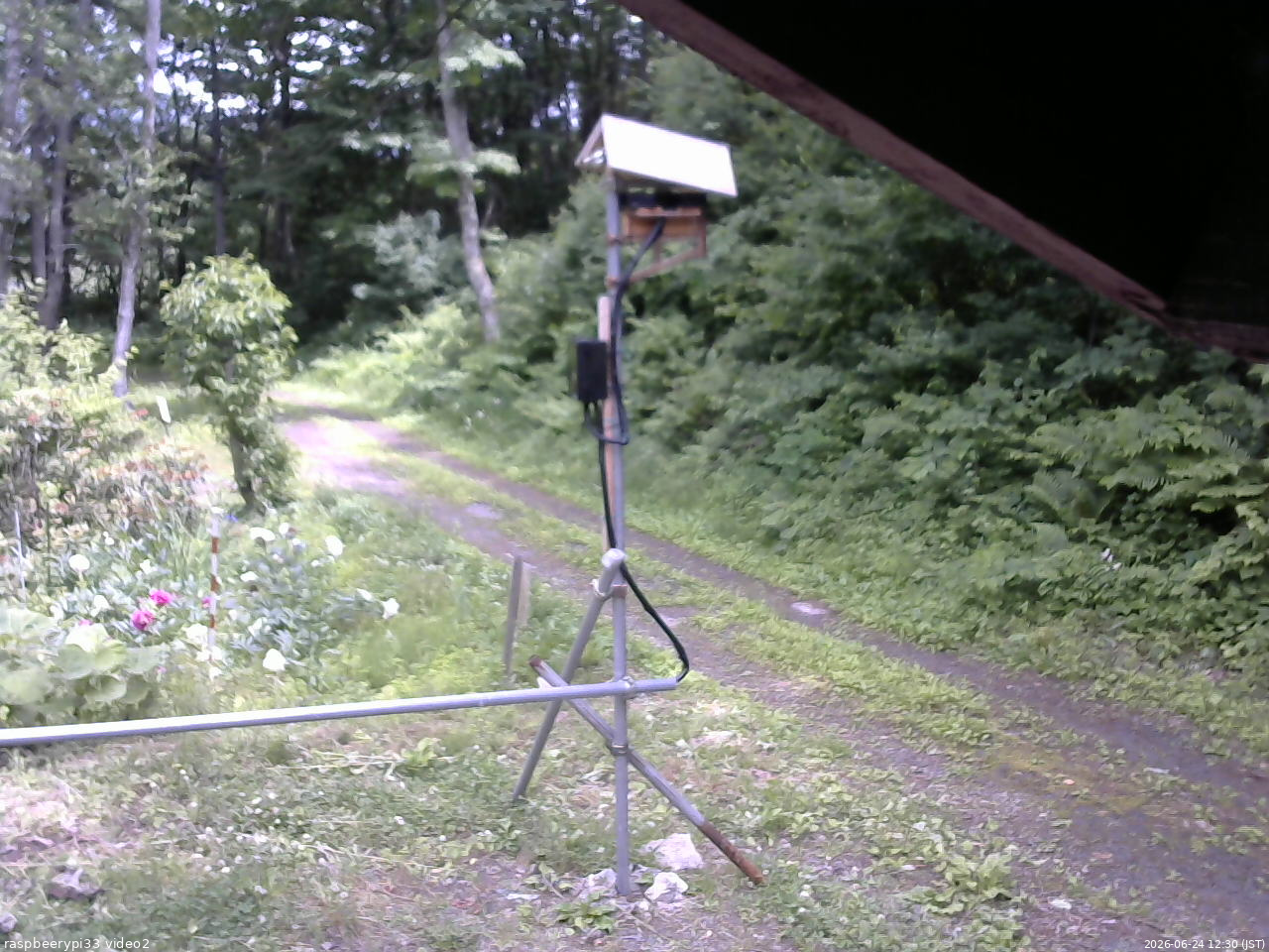 長野県菅平高原 ゆたか山荘 南側 2026/06/24 12:30