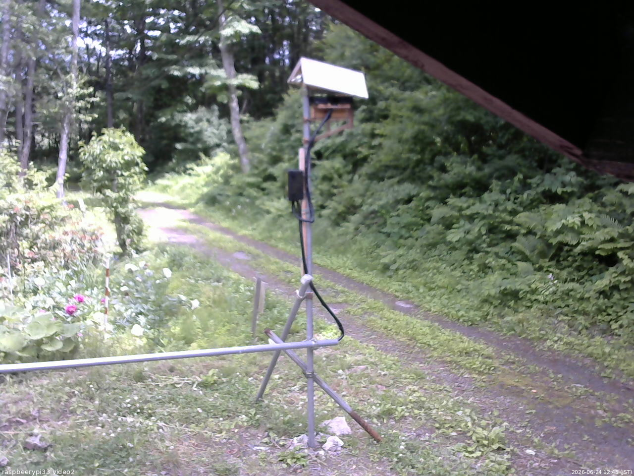 長野県菅平高原 ゆたか山荘 南側 2026/06/24 12:45