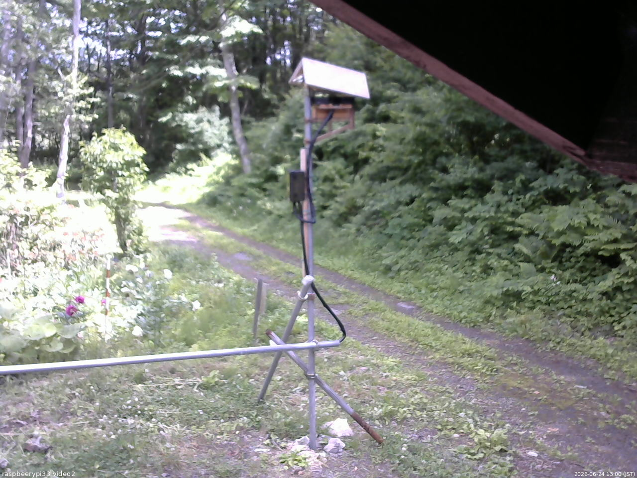 長野県菅平高原 ゆたか山荘 南側 2026/06/24 13:00