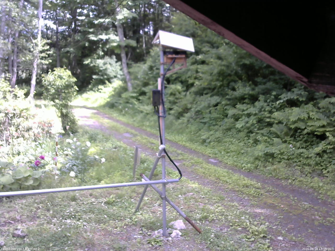 長野県菅平高原 ゆたか山荘 南側 2026/06/24 13:15