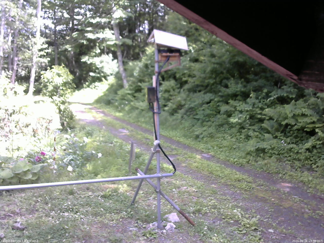 長野県菅平高原 ゆたか山荘 南側 2026/06/24 13:30
