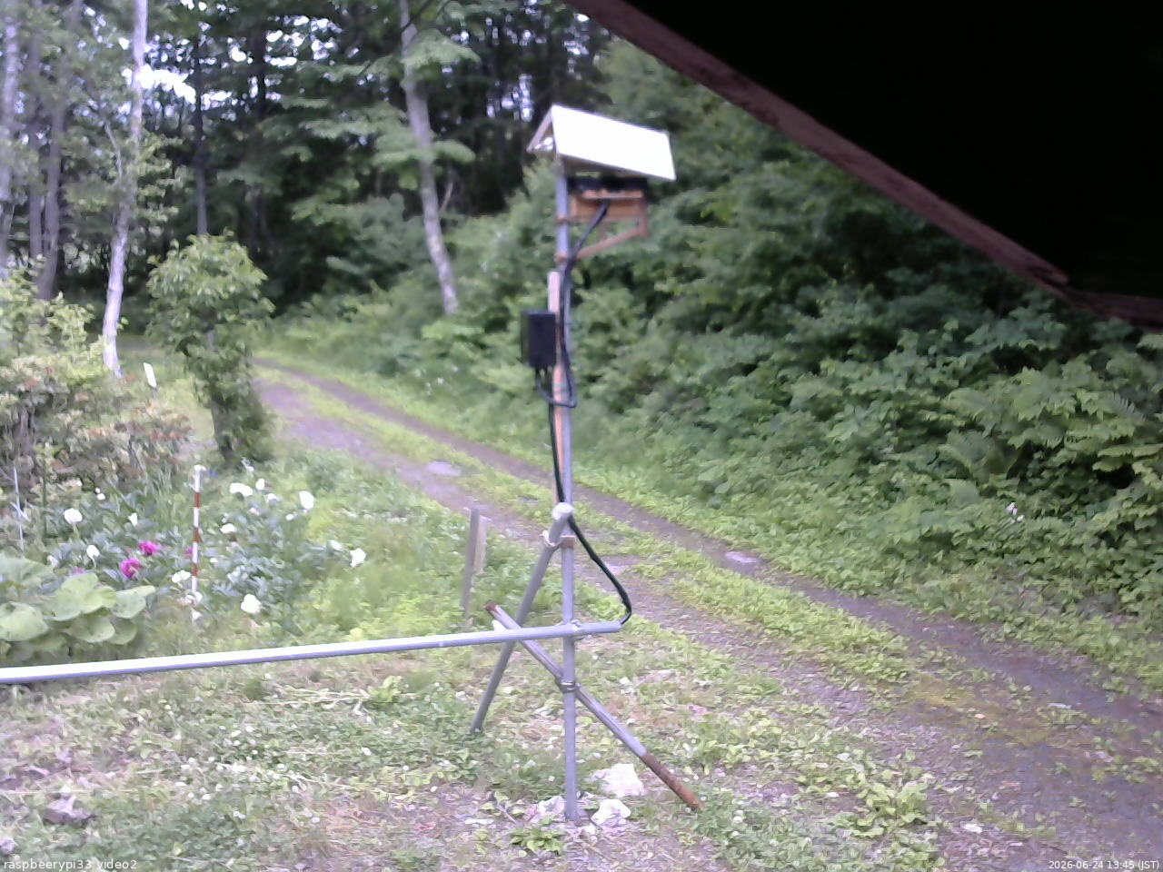 長野県菅平高原 ゆたか山荘 南側 2026/06/24 13:45