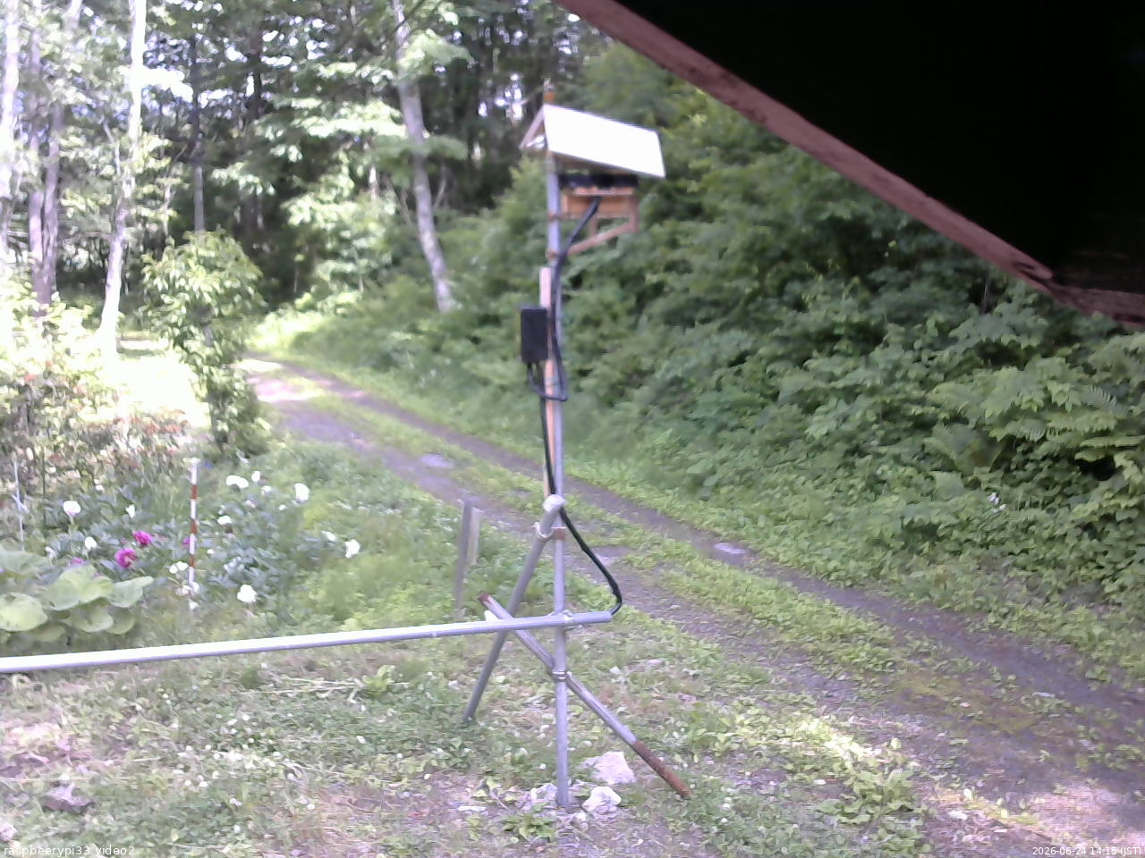 長野県菅平高原 ゆたか山荘 南側 2026/06/24 14:15