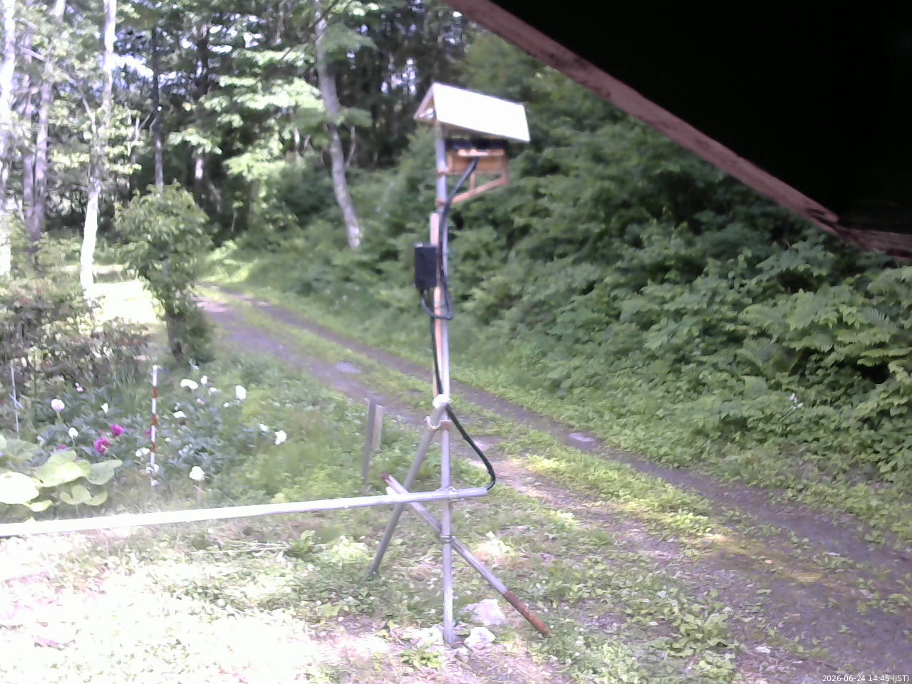 長野県菅平高原 ゆたか山荘 南側 2026/06/24 14:45