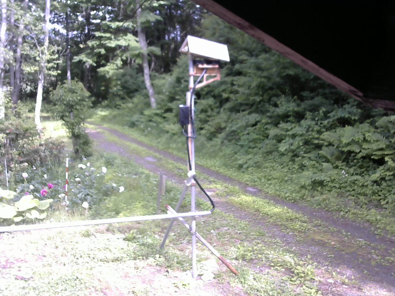 長野県菅平高原 ゆたか山荘 南側 2026/06/24 15:00