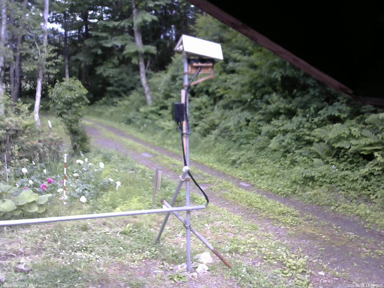 長野県菅平高原 ゆたか山荘 南側 2026/06/24 15:30