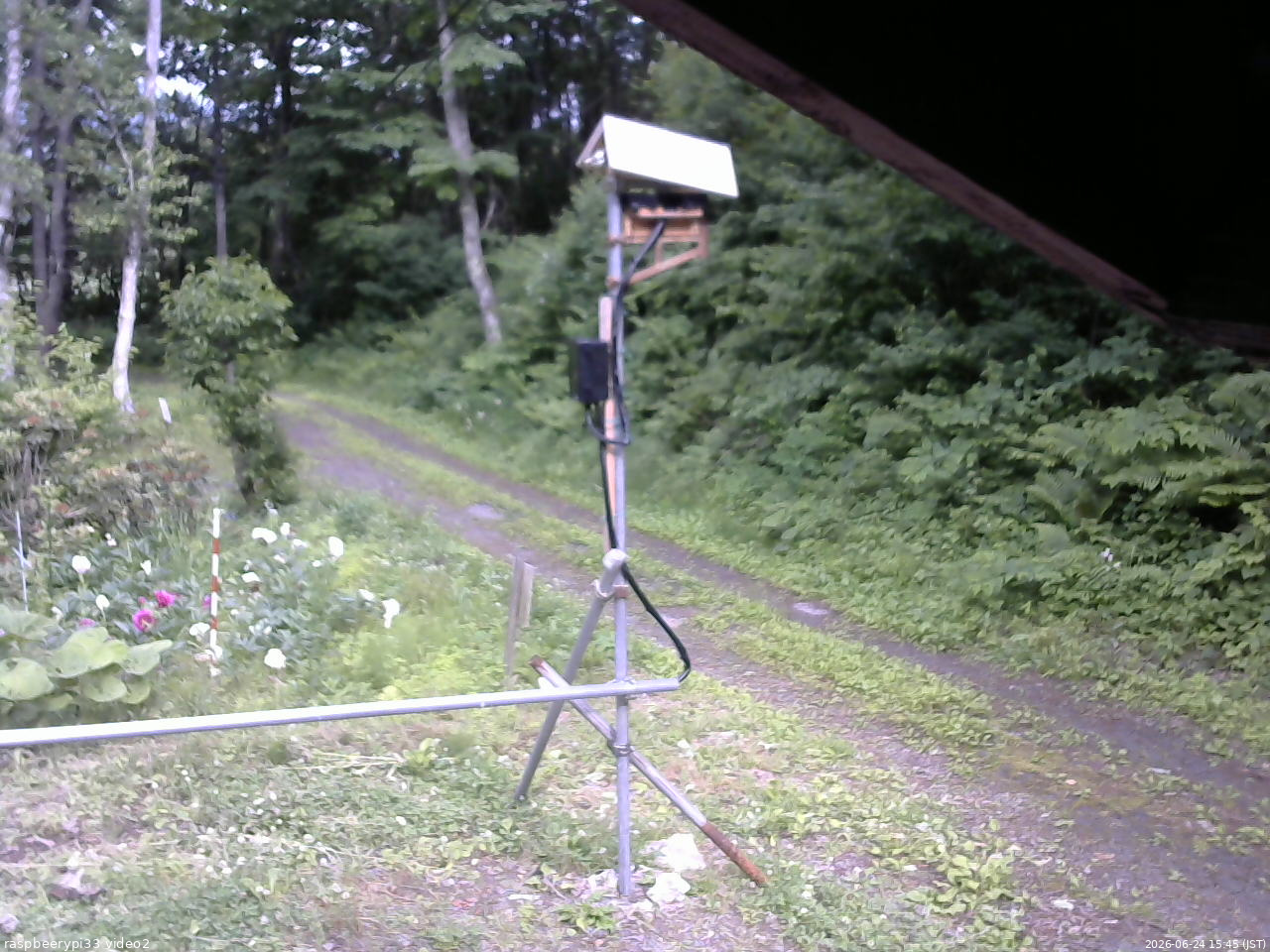長野県菅平高原 ゆたか山荘 南側 2026/06/24 15:45