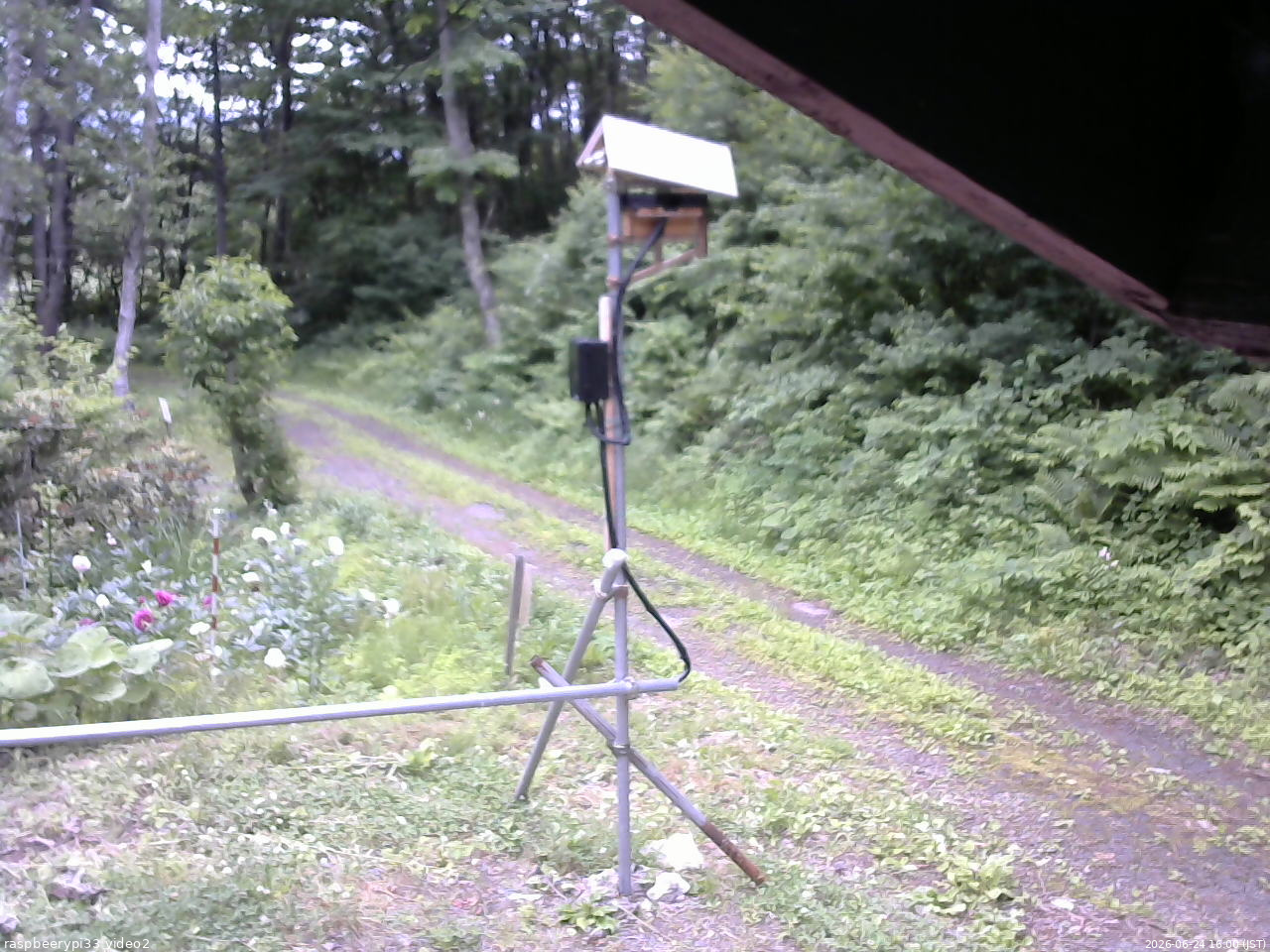 長野県菅平高原 ゆたか山荘 南側 2026/06/24 16:00