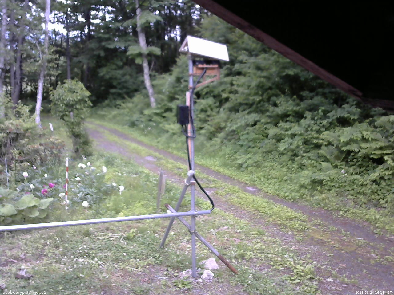 長野県菅平高原 ゆたか山荘 南側 2026/06/24 16:15