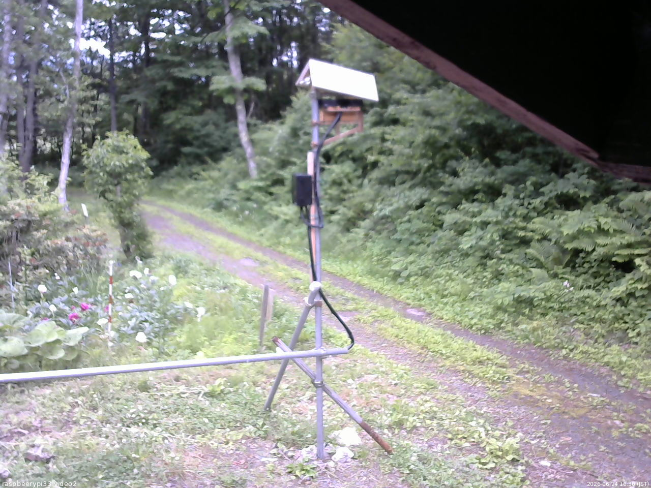 長野県菅平高原 ゆたか山荘 南側 2026/06/24 16:30