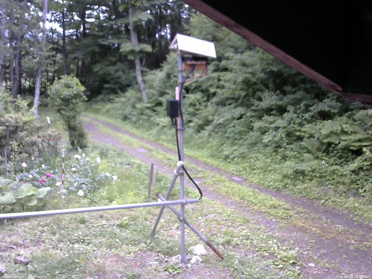 長野県菅平高原 ゆたか山荘 南側 2026/06/24 16:45