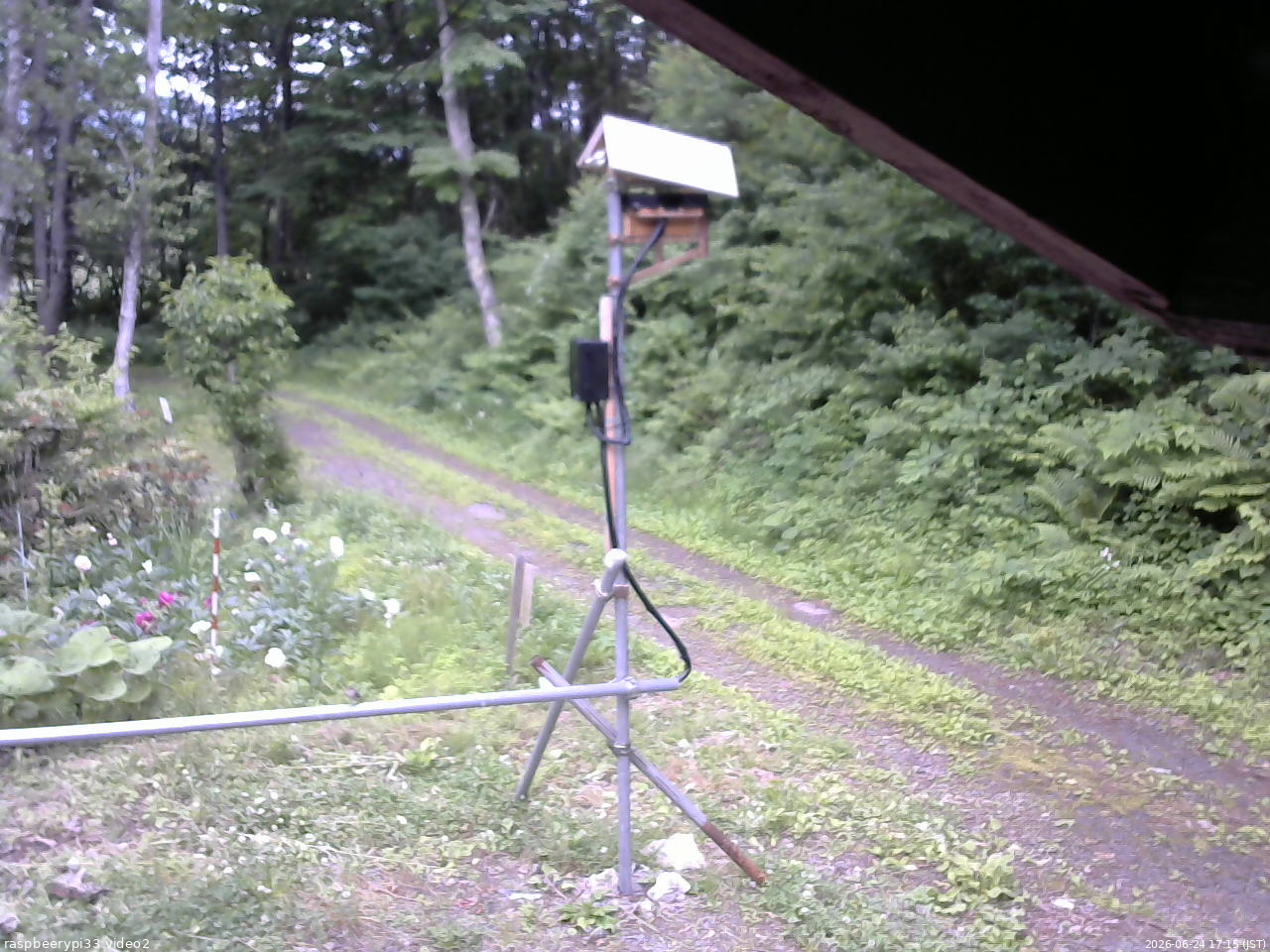 長野県菅平高原 ゆたか山荘 南側 2026/06/24 17:15