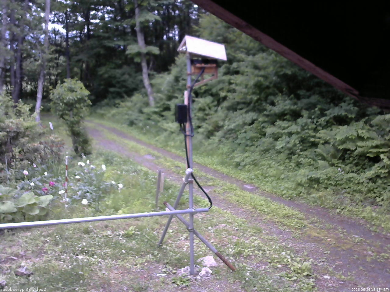 長野県菅平高原 ゆたか山荘 南側 2026/06/24 18:15