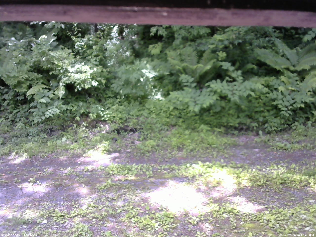 長野県菅平高原 ゆたか山荘 東側(坂下) 2026/06/24 10:45