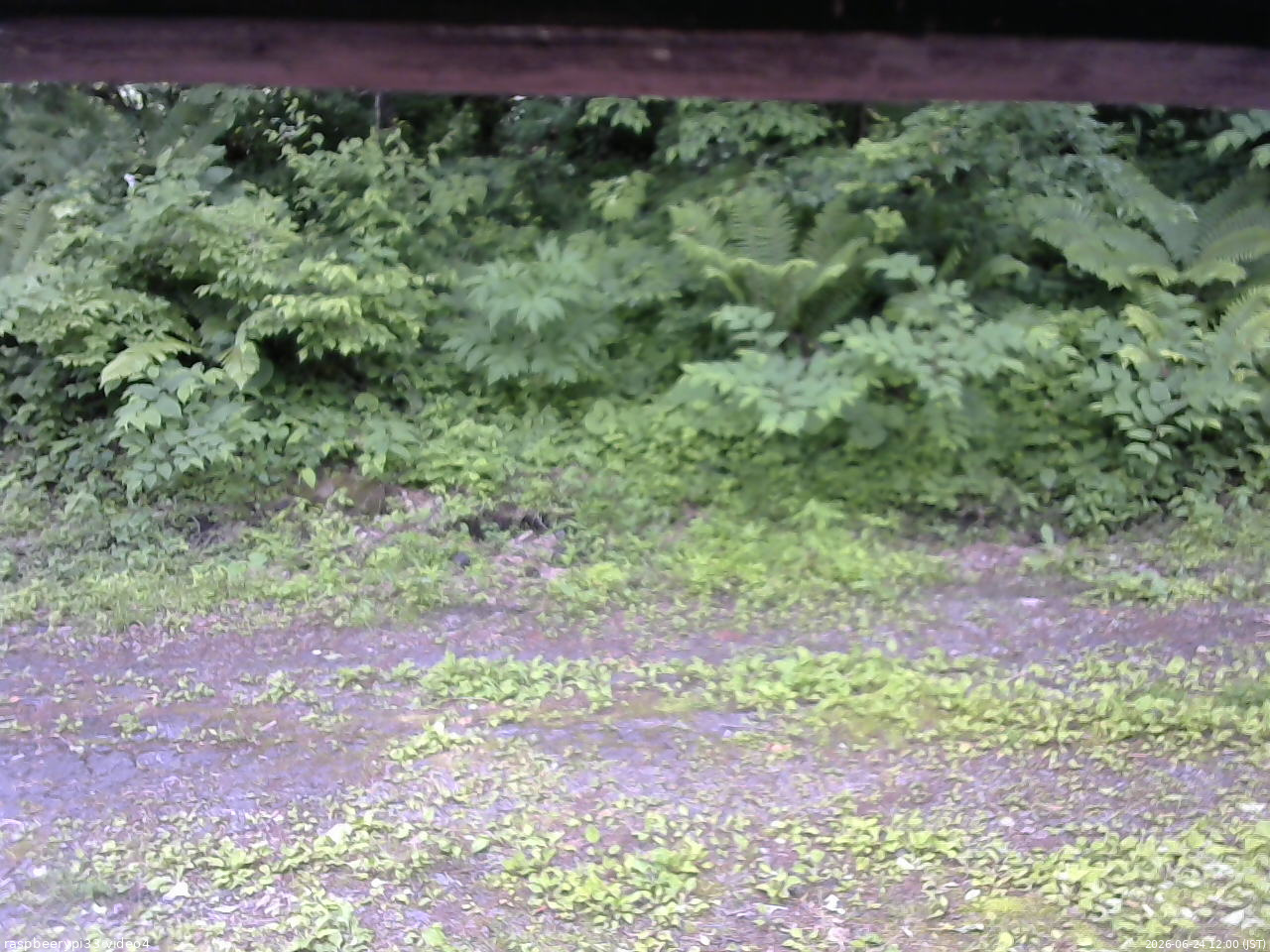 長野県菅平高原 ゆたか山荘 東側(坂下) 2026/06/24 12:00
