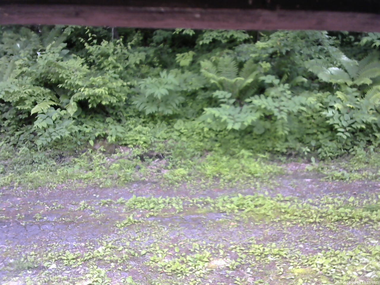 長野県菅平高原 ゆたか山荘 東側(坂下) 2026/06/24 13:15