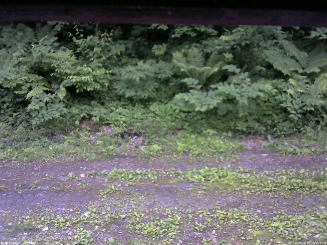 長野県菅平高原 ゆたか山荘 東側(坂下) 2026/06/24 18:45