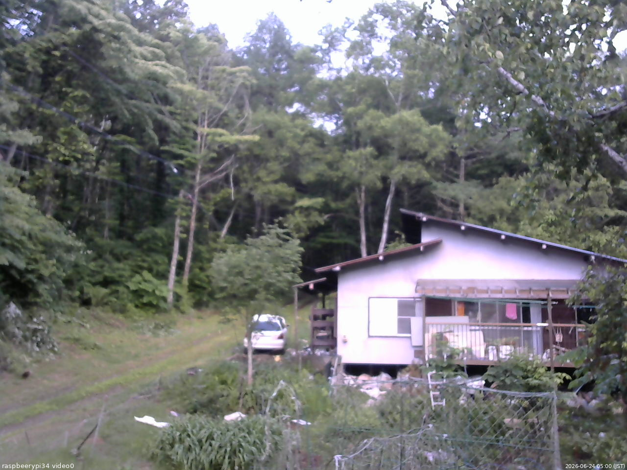 長野県菅平高原 ゆたか山荘 西側(坂上) 2026/06/24 05:00