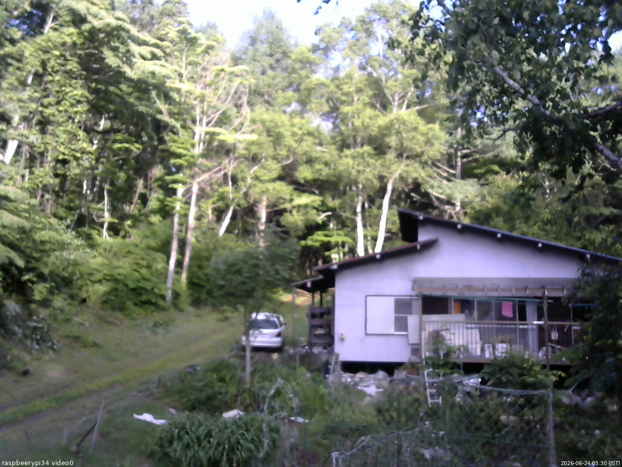 長野県菅平高原 ゆたか山荘 西側(坂上) 2026/06/24 05:30