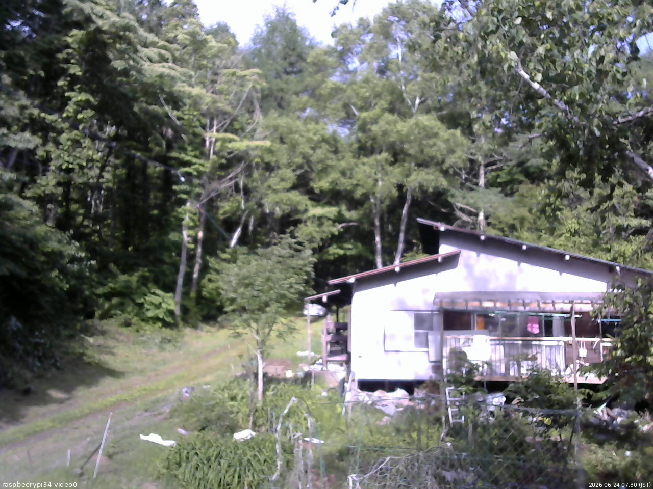 長野県菅平高原 ゆたか山荘 西側(坂上) 2026/06/24 07:30