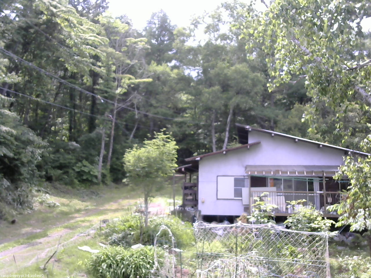 長野県菅平高原 ゆたか山荘 西側(坂上) 2026/06/24 14:00