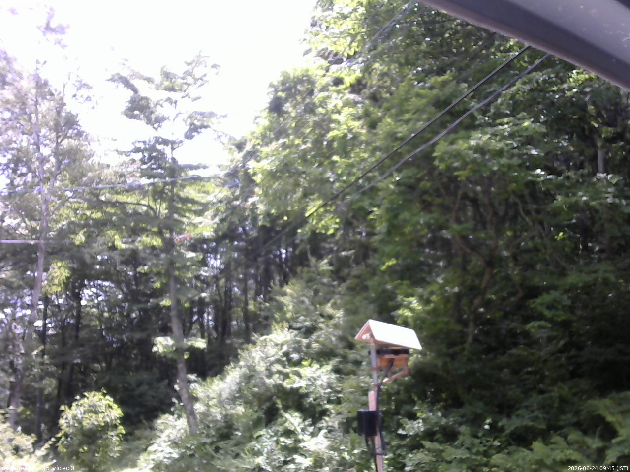 長野県菅平高原 ゆたか山荘 温度計 2026/06/24 09:45