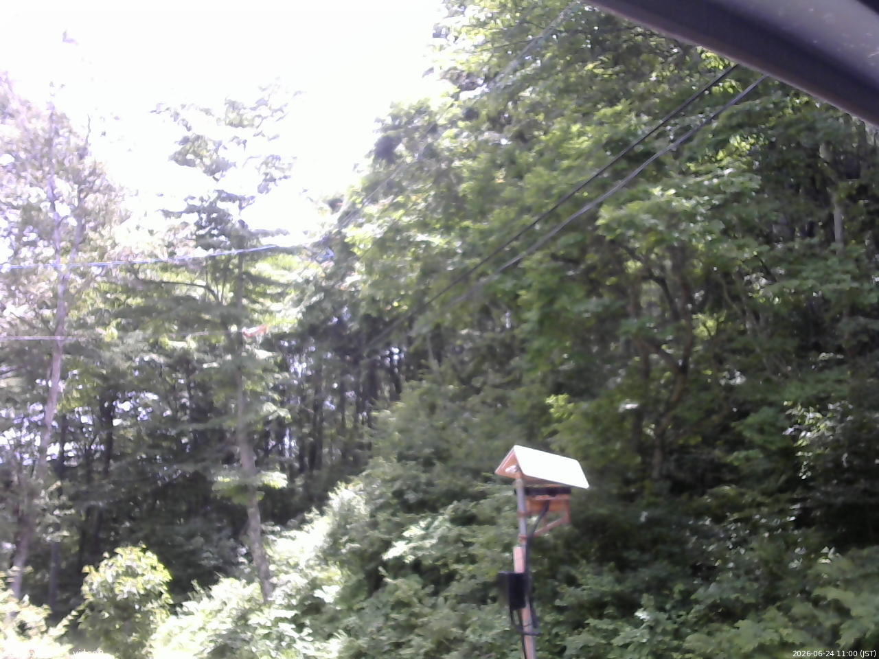 長野県菅平高原 ゆたか山荘 温度計 2026/06/24 11:00