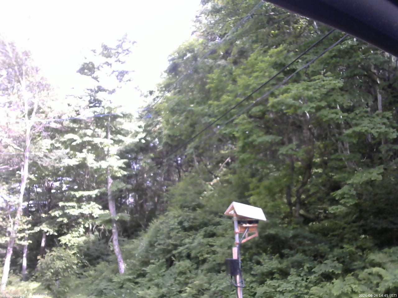 長野県菅平高原 ゆたか山荘 温度計 2026/06/24 14:45
