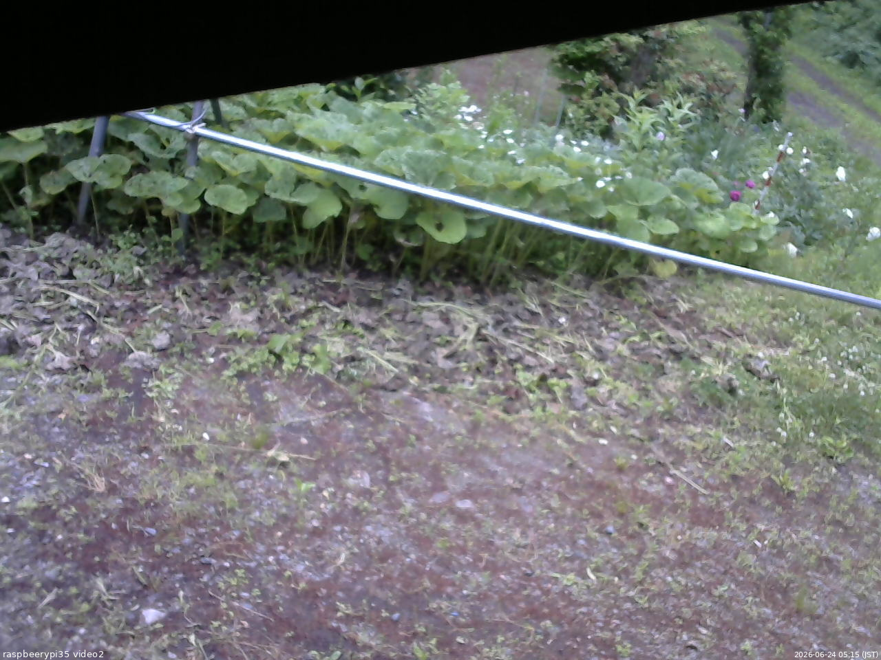 長野県菅平高原 ゆたか山荘 駐車場 2026/06/24 05:15