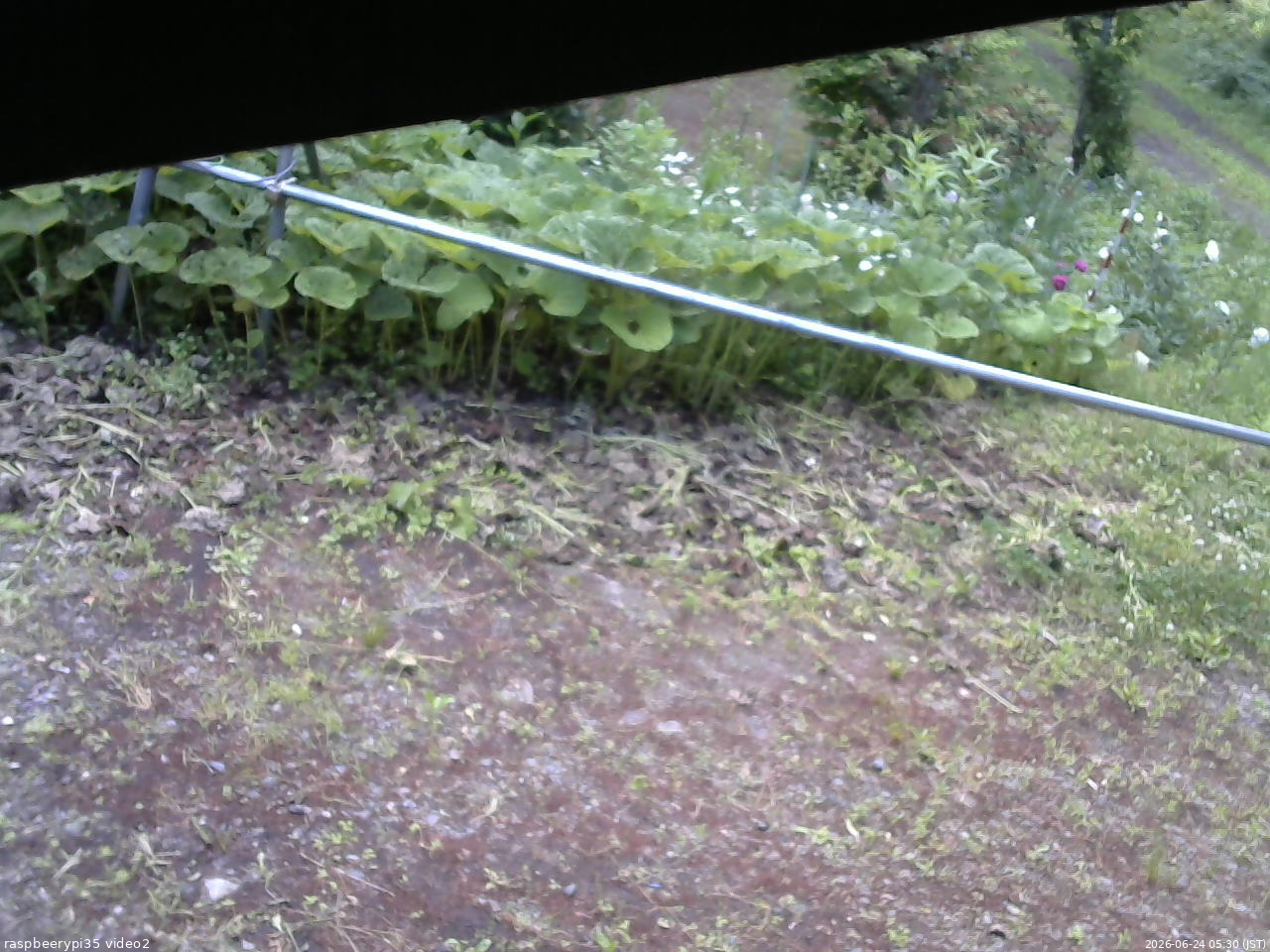 長野県菅平高原 ゆたか山荘 駐車場 2026/06/24 05:30