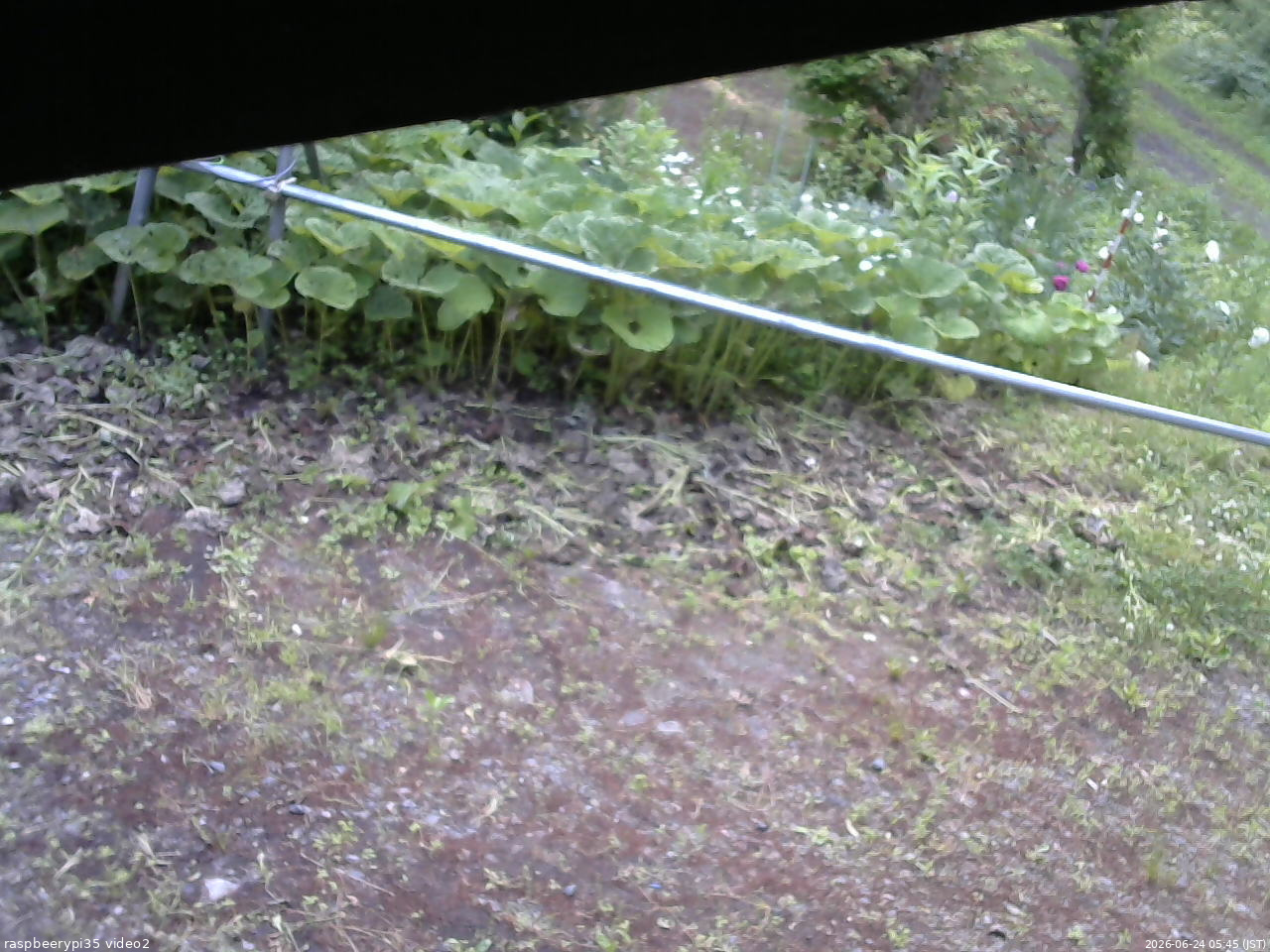 長野県菅平高原 ゆたか山荘 駐車場 2026/06/24 05:45