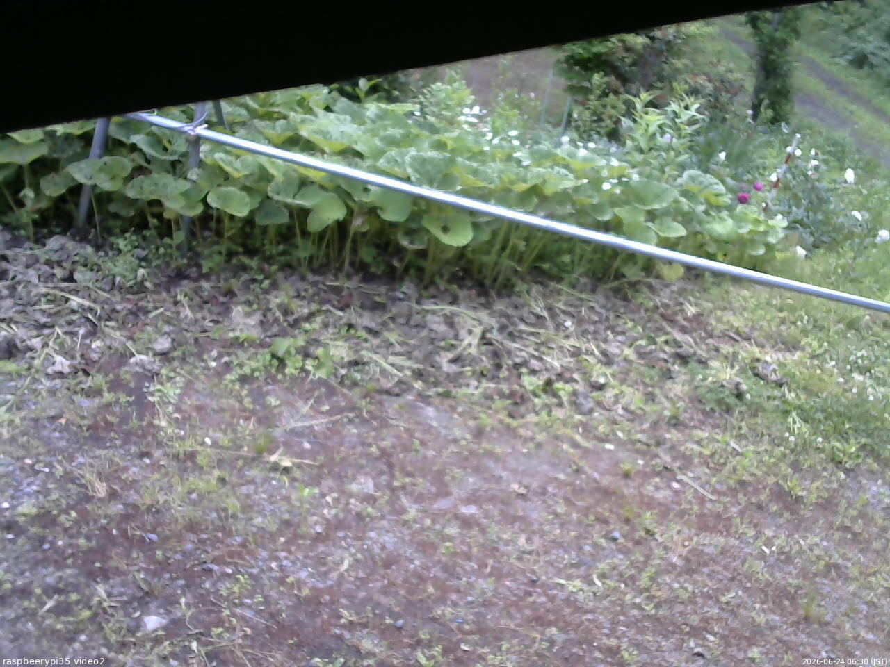 長野県菅平高原 ゆたか山荘 駐車場 2026/06/24 06:30