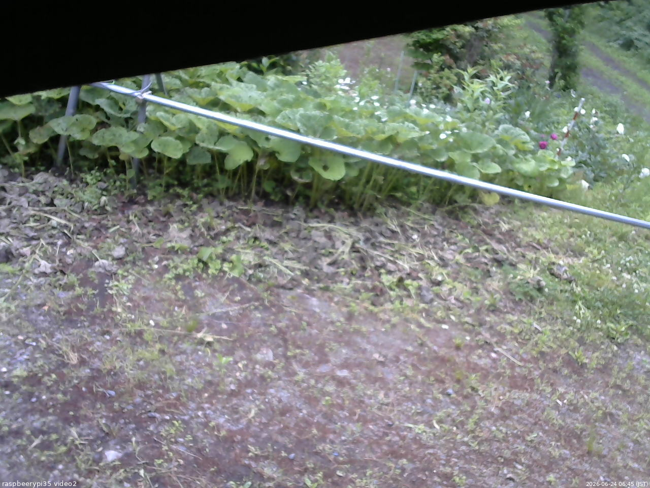 長野県菅平高原 ゆたか山荘 駐車場 2026/06/24 06:45