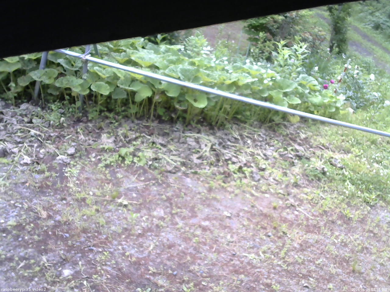 長野県菅平高原 ゆたか山荘 駐車場 2026/06/24 07:15