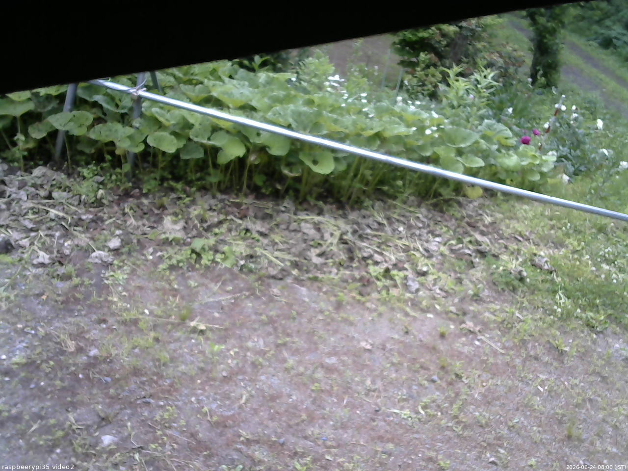 長野県菅平高原 ゆたか山荘 駐車場 2026/06/24 08:00