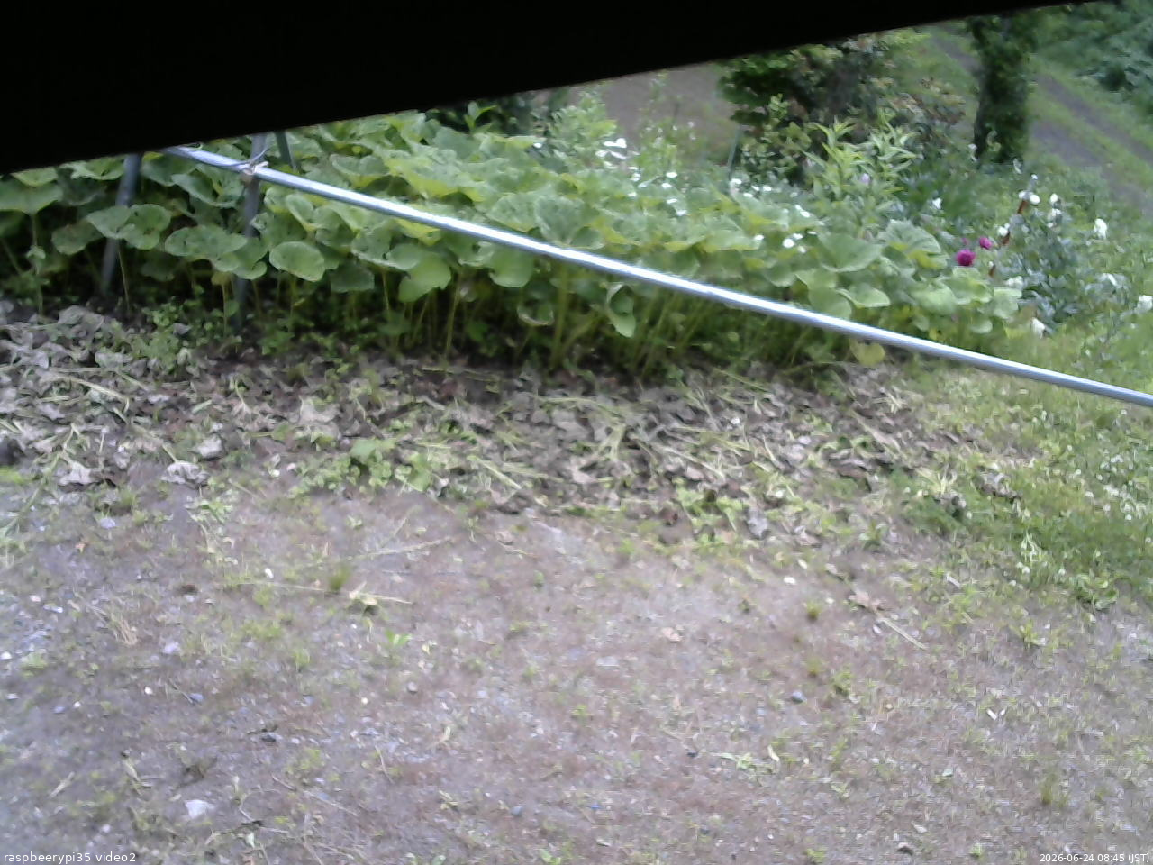 長野県菅平高原 ゆたか山荘 駐車場 2026/06/24 08:45