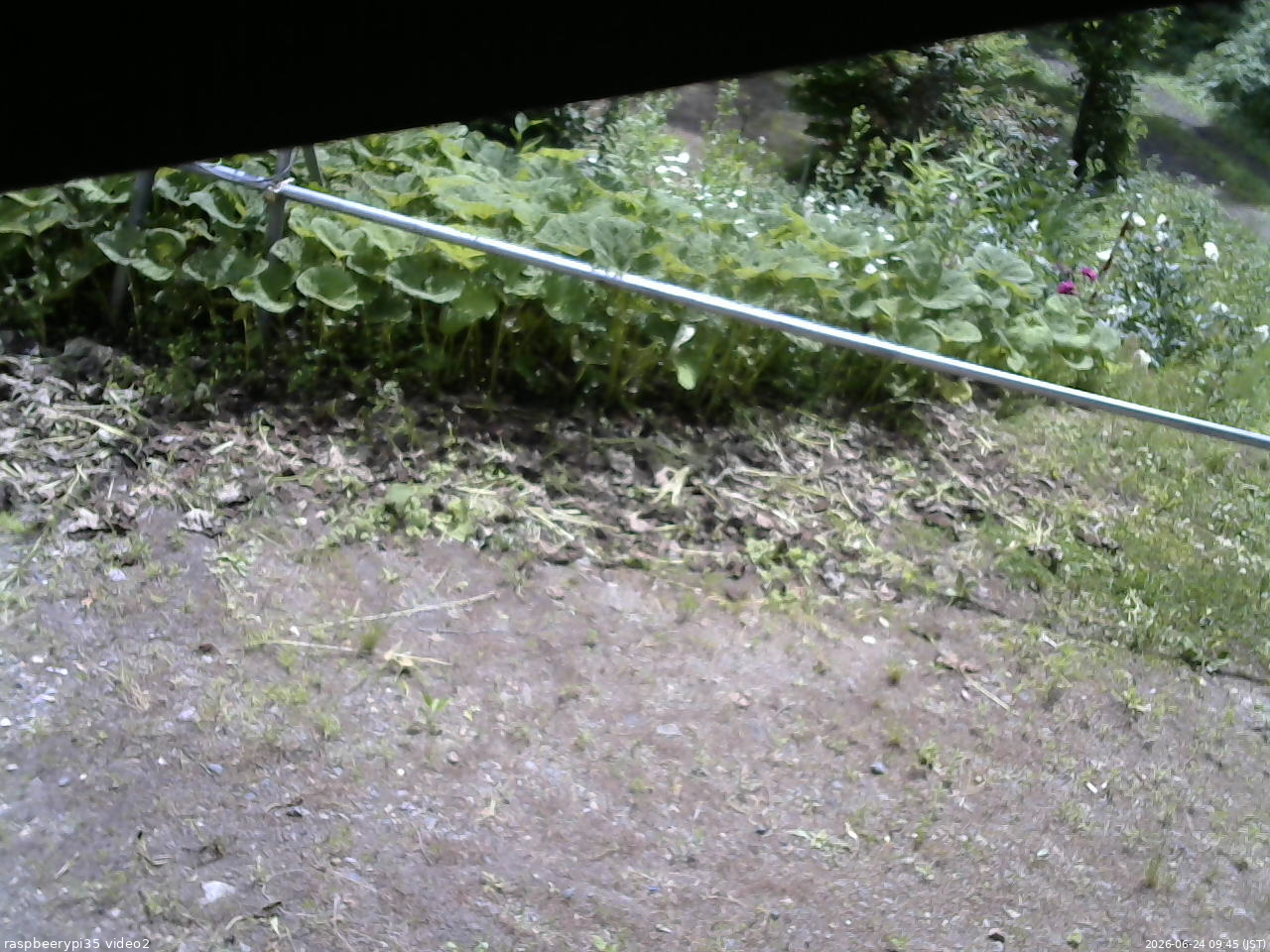 長野県菅平高原 ゆたか山荘 駐車場 2026/06/24 09:45