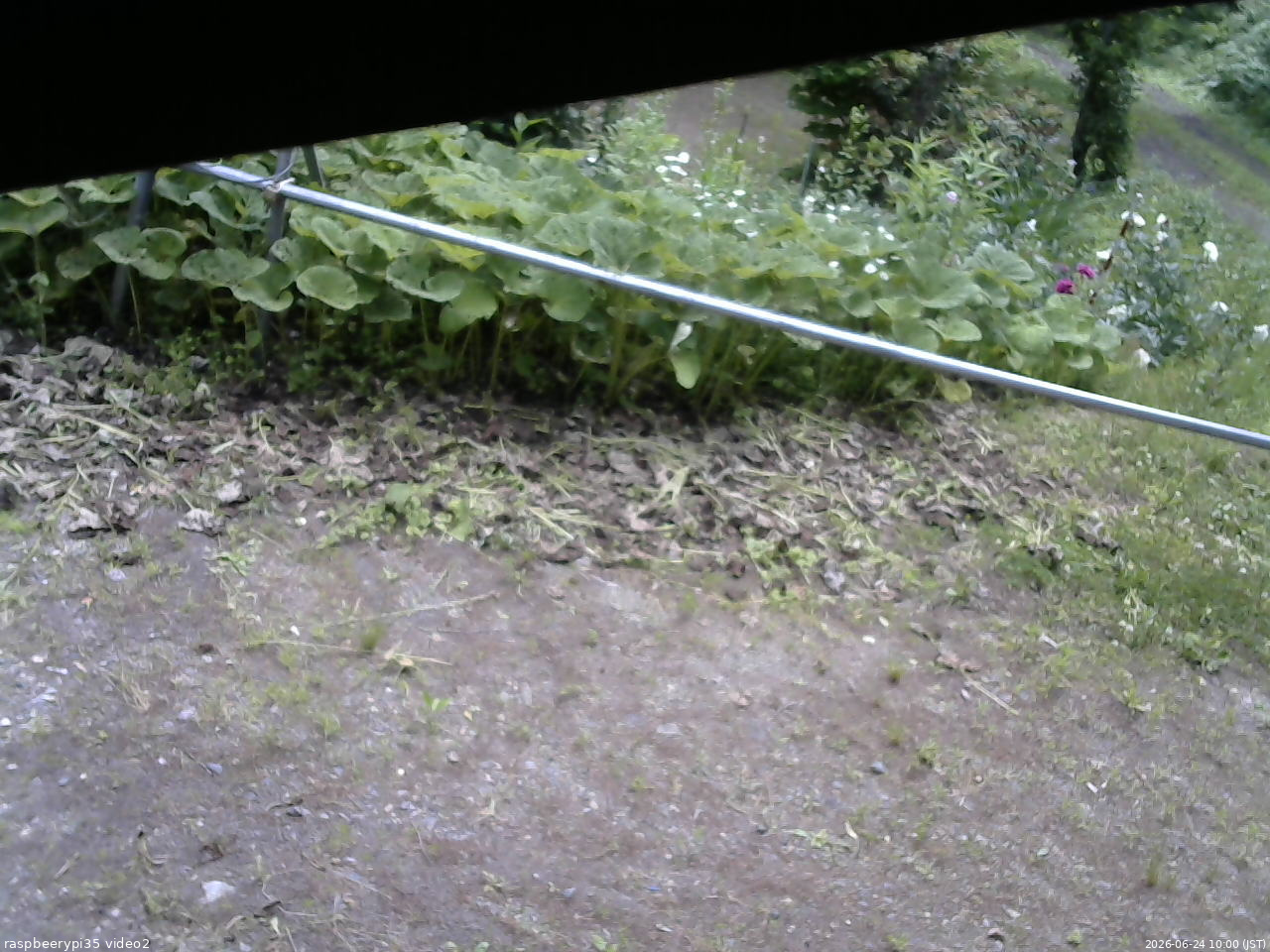長野県菅平高原 ゆたか山荘 駐車場 2026/06/24 10:00