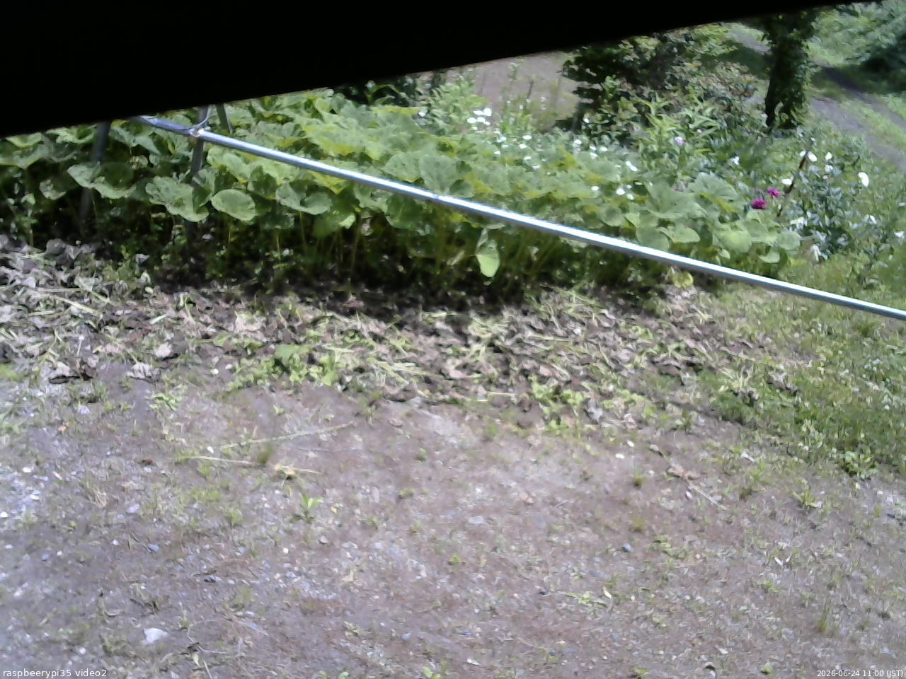 長野県菅平高原 ゆたか山荘 駐車場 2026/06/24 11:00