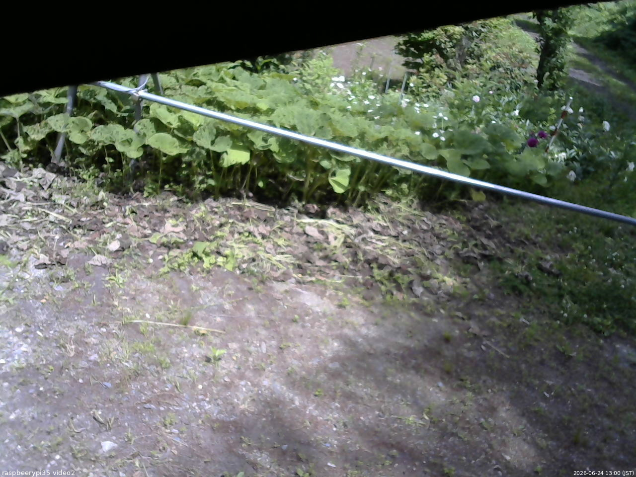 長野県菅平高原 ゆたか山荘 駐車場 2026/06/24 13:00