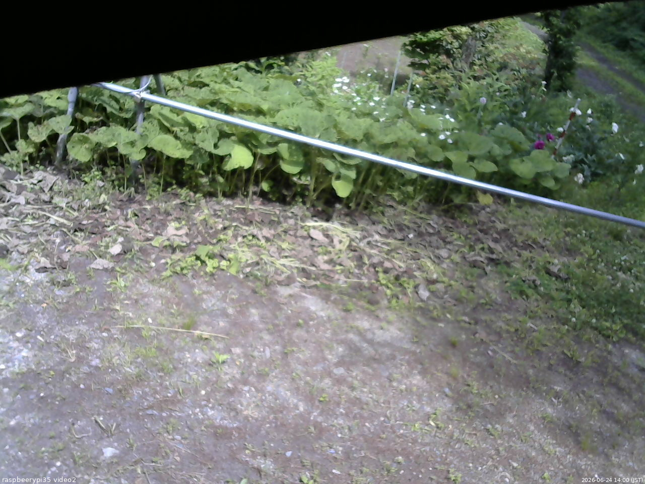 長野県菅平高原 ゆたか山荘 駐車場 2026/06/24 14:00