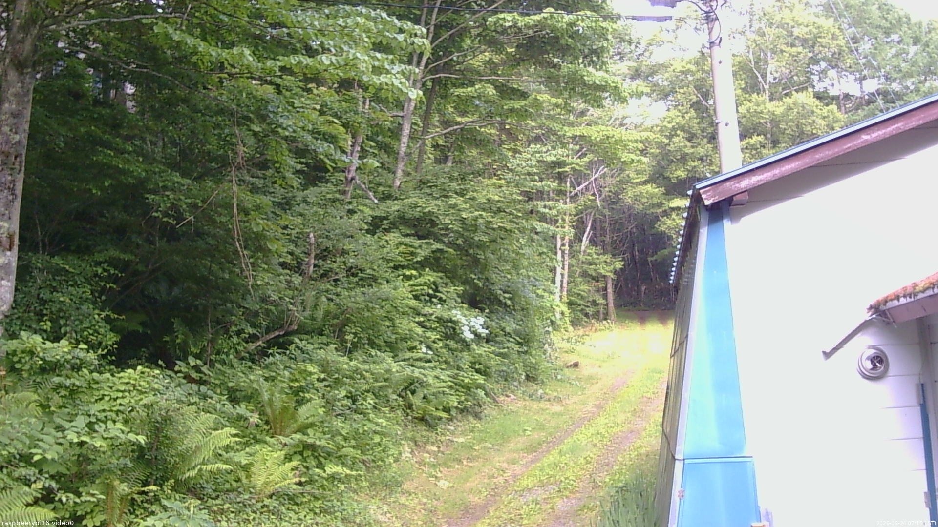 長野県菅平高原 ゆたか山荘 ゆたか山荘 2026/06/24 07:15