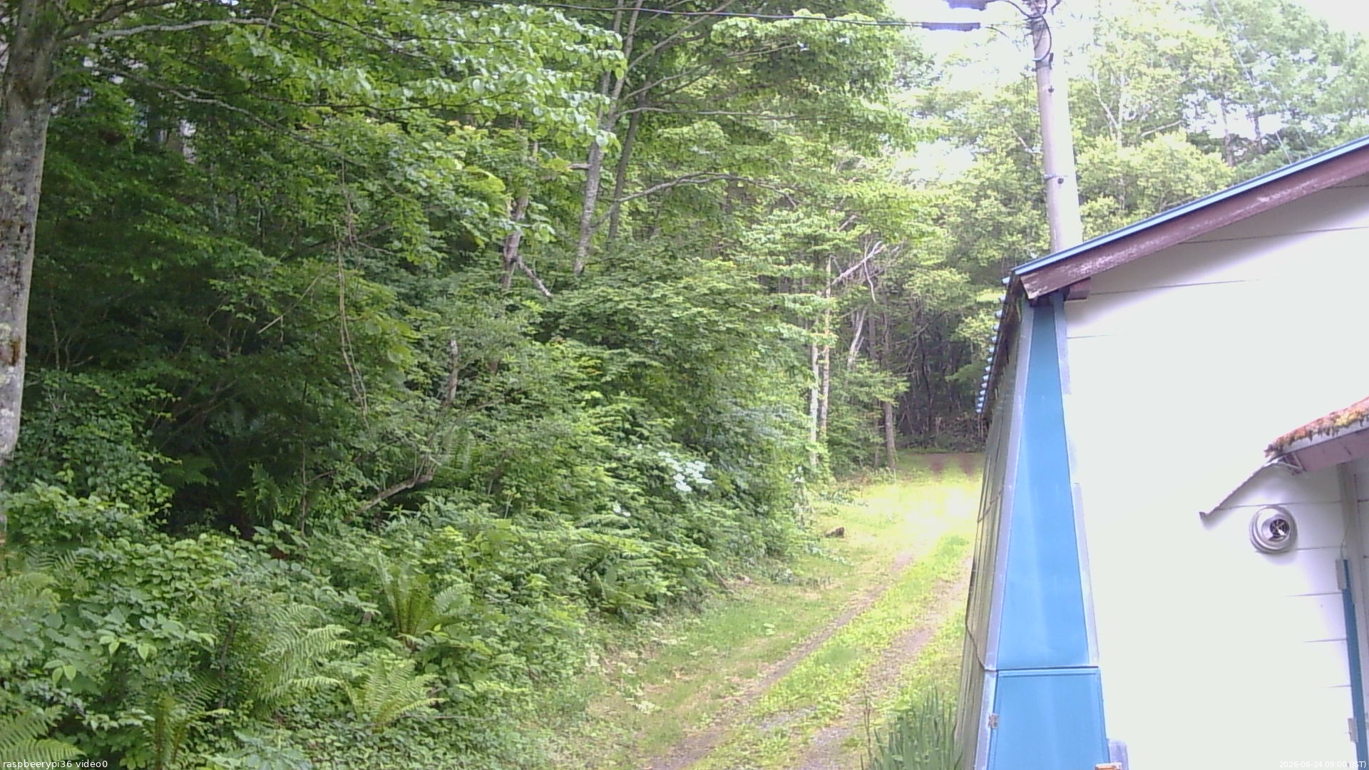 長野県菅平高原 ゆたか山荘 ゆたか山荘 2026/06/24 09:00