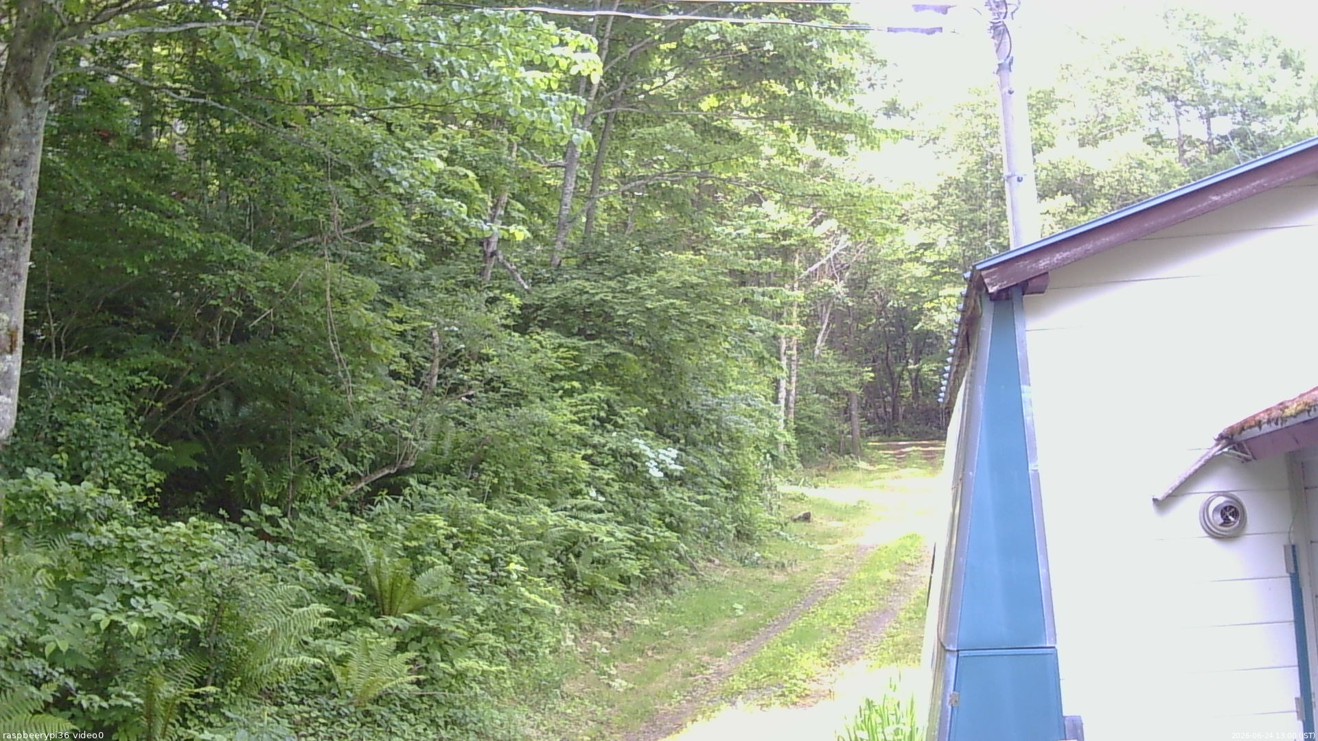 長野県菅平高原 ゆたか山荘 ゆたか山荘 2026/06/24 13:00